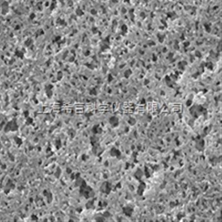 GNWP02500 25mm 尼龙（Nylon）过滤膜|美国密理博Millipore